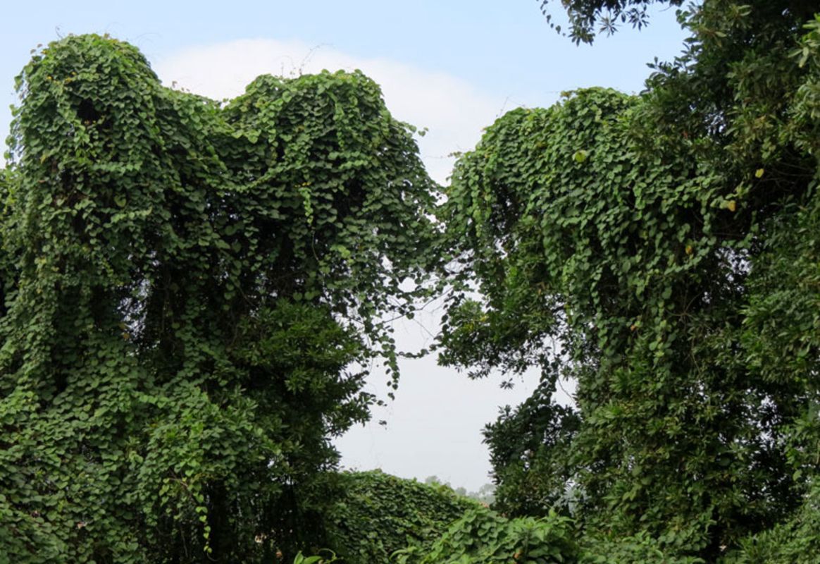 Embrace the vibrant spirit of Hanoi Travel adventures