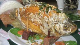 Dive into the vibrant flavors of Ben Tre Travel