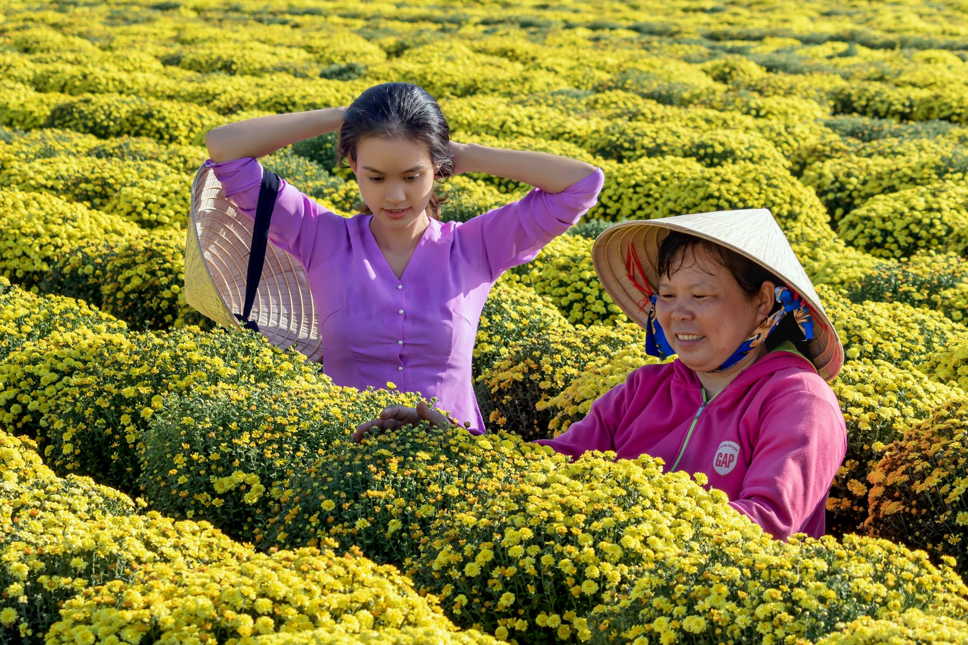 Seize the cultural essence of rural Vietnam