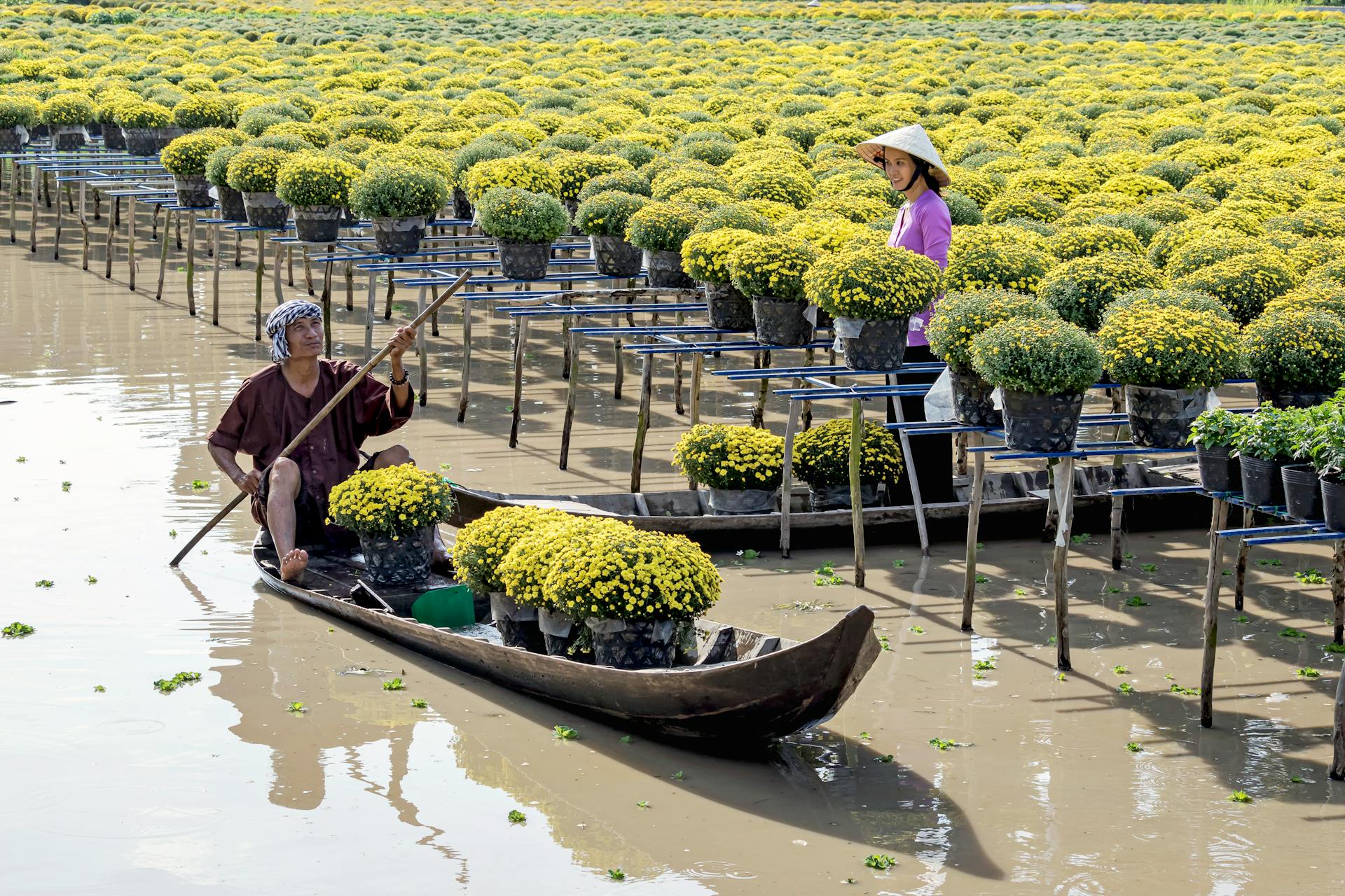 Immerse in Mekong’s vibrant river life