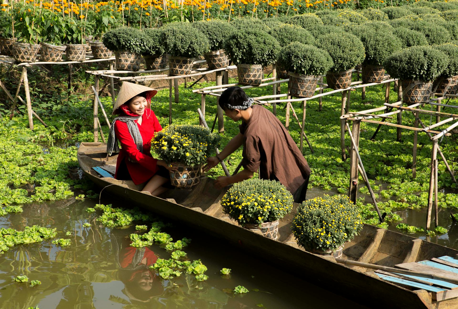 Saisissez l’essence culturelle du Vietnam rural