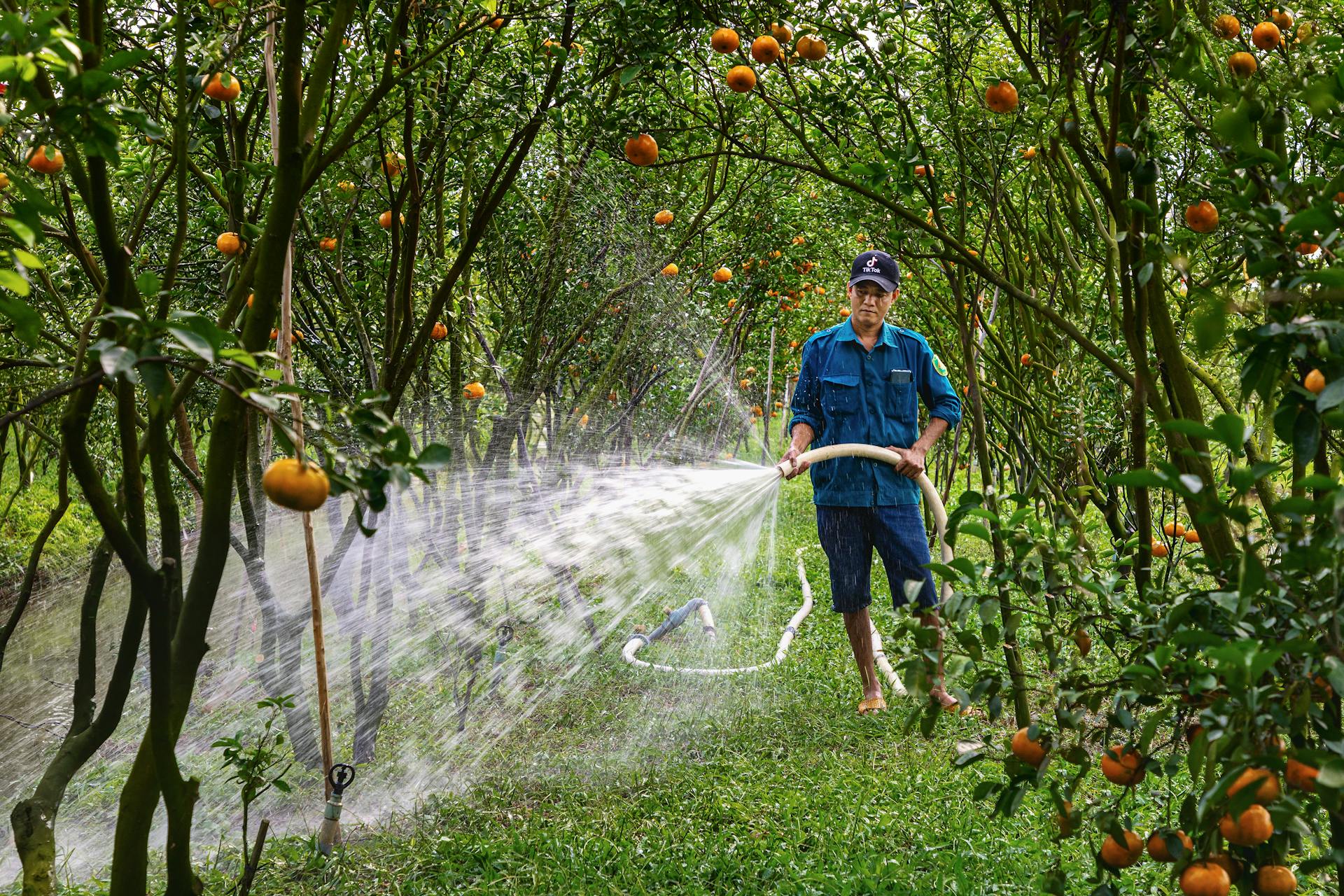 Seize the cultural essence of rural Vietnam