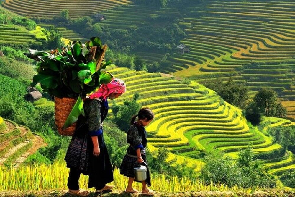 Seize the cultural essence of Vietnam’s artistry
