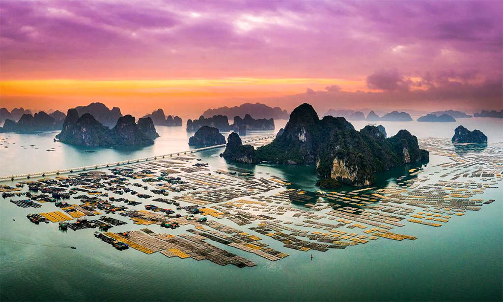 Begin your exploration with Bai Tu Long Bay’s tranquil ambiance