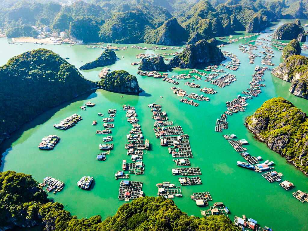 Immerse in Halong Bay’s legendary heritage