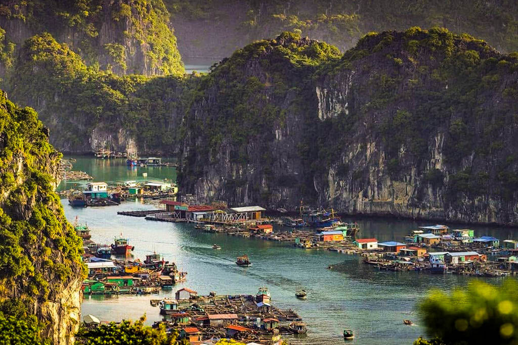 Connect with local culture in Halong Bay