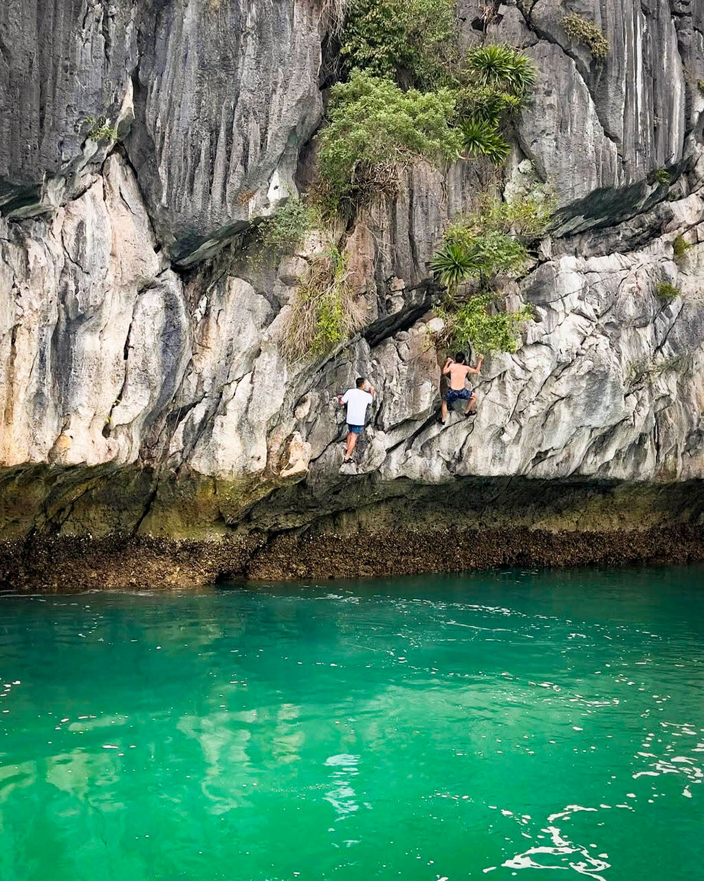 Experience the beauty of Halong Bay from every angle