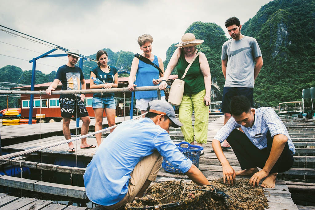 Connect with local culture in Halong Bay’s floating village