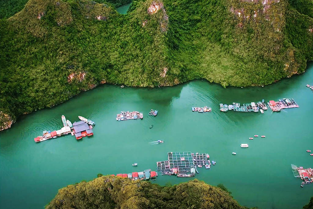 Meet the soul of Halong’s floating communities