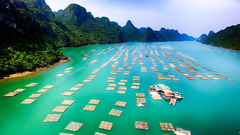 Sail through Vietnam’s iconic limestone karsts at sunrise