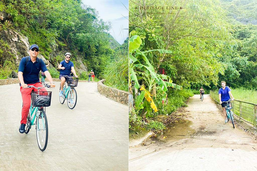 Pedal through rainforest trails