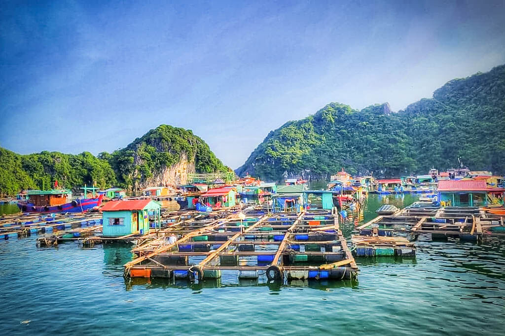 Immerse in local life with cultural respect