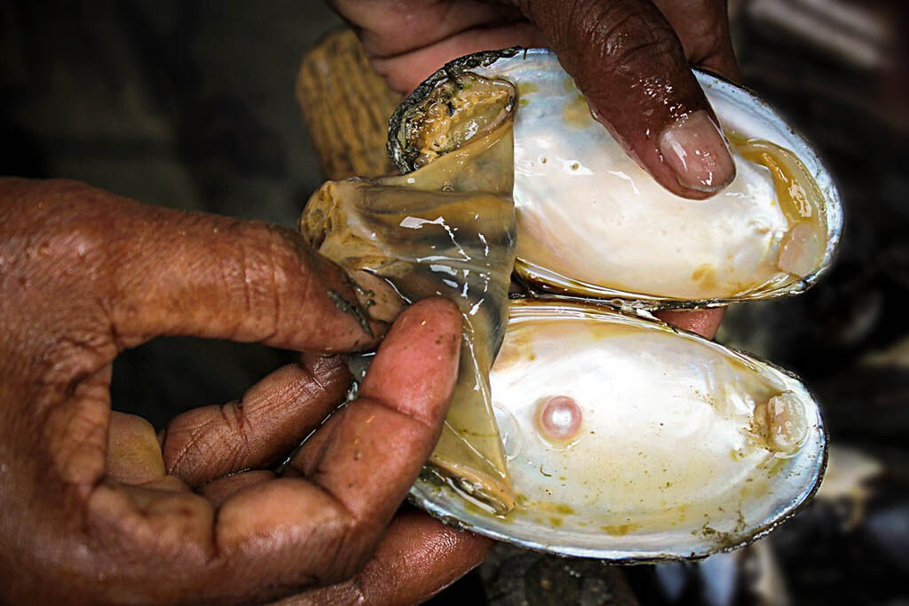 Connect with Halong Bay’s communities