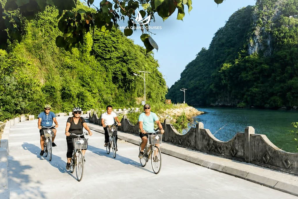 Discover the timeless charm of Halong Bay’s natural landscape.