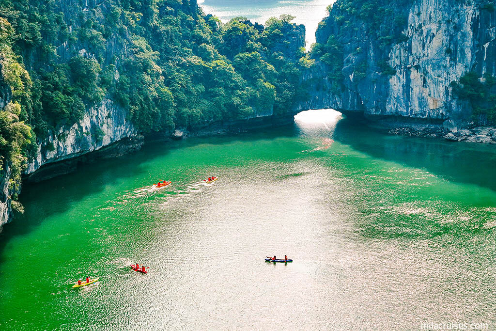 Glide through emerald waters on an unforgettable bay journey