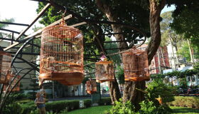 Ho Chi Minh City Tao Dan Park