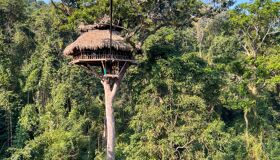 Huay Xai Jungle