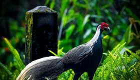 Bach Ma National Park, Hue City