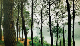 Vong Canh Hill Panorama View, Hue City
