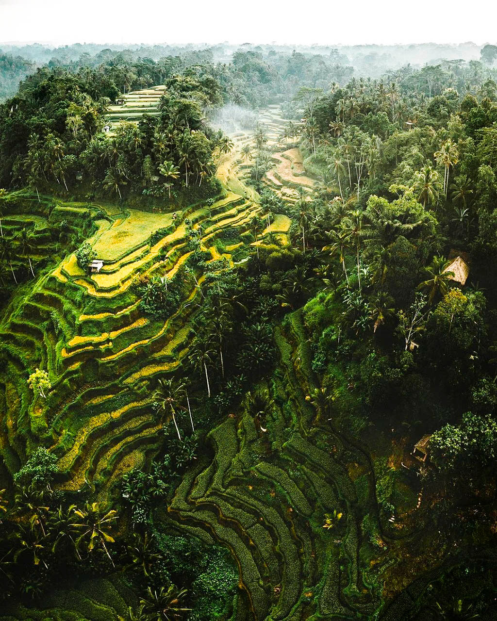Marvel at the iconic emerald green terraces of Bali’s cultural heart