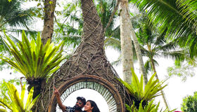 Indonesia-Bali Coconuts