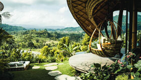 Indonesia-Bali Terrace Rice Fields