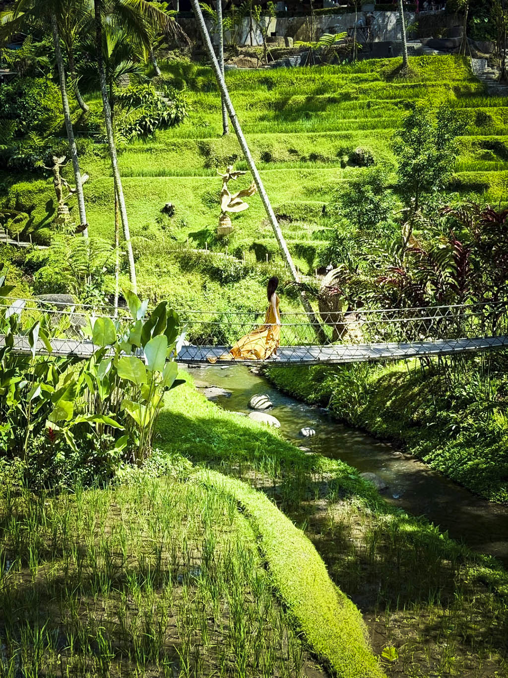 Marvel at the iconic emerald green terraces of Bali’s cultural heart