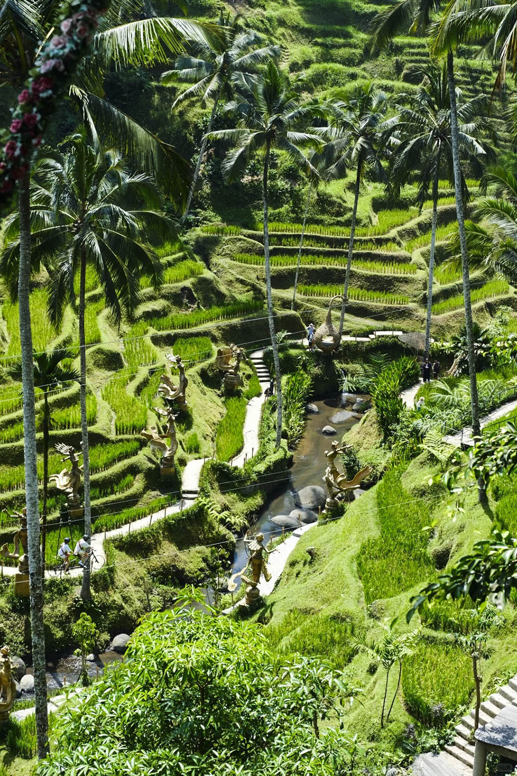 Marvel at the iconic emerald green terraces of Bali’s cultural heart