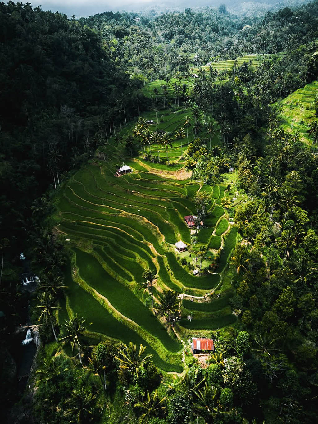 Marvel at the iconic emerald green terraces of Bali’s cultural heart