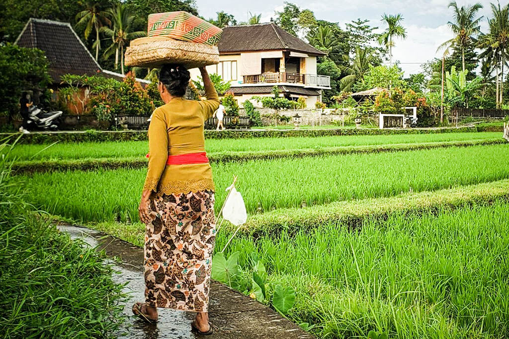Marvel at the iconic emerald green terraces of Bali’s cultural heart