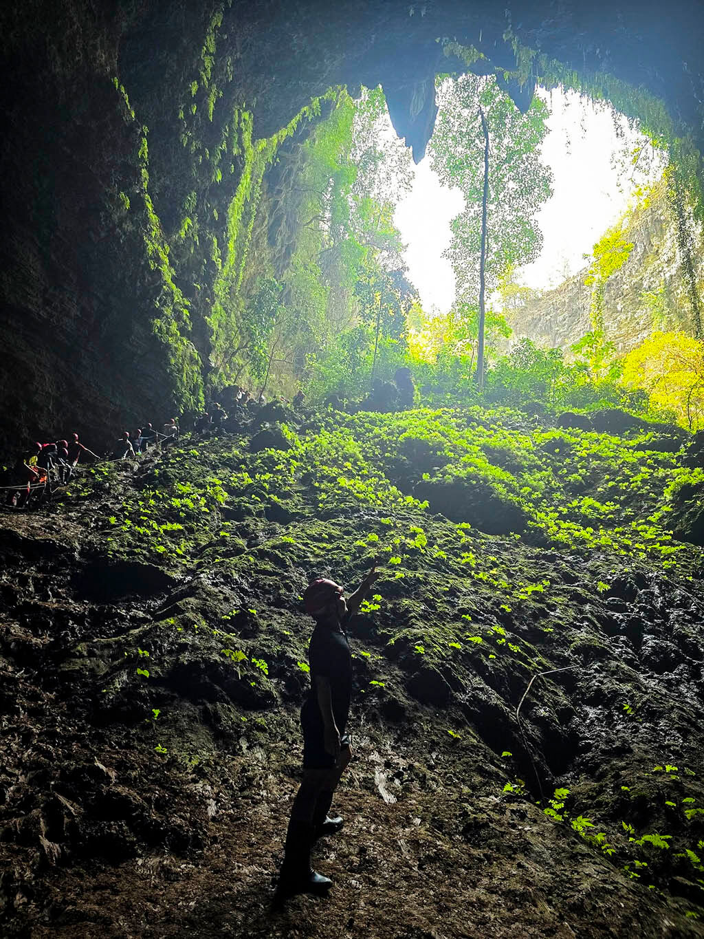 Marvel at the iconic emerald green terraces of Bali’s cultural heart