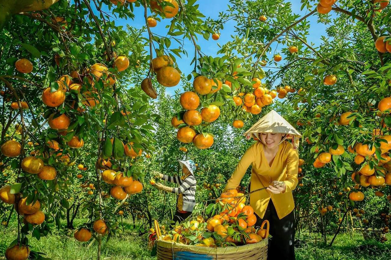 Saisissez l’essence culturelle du Vietnam rural