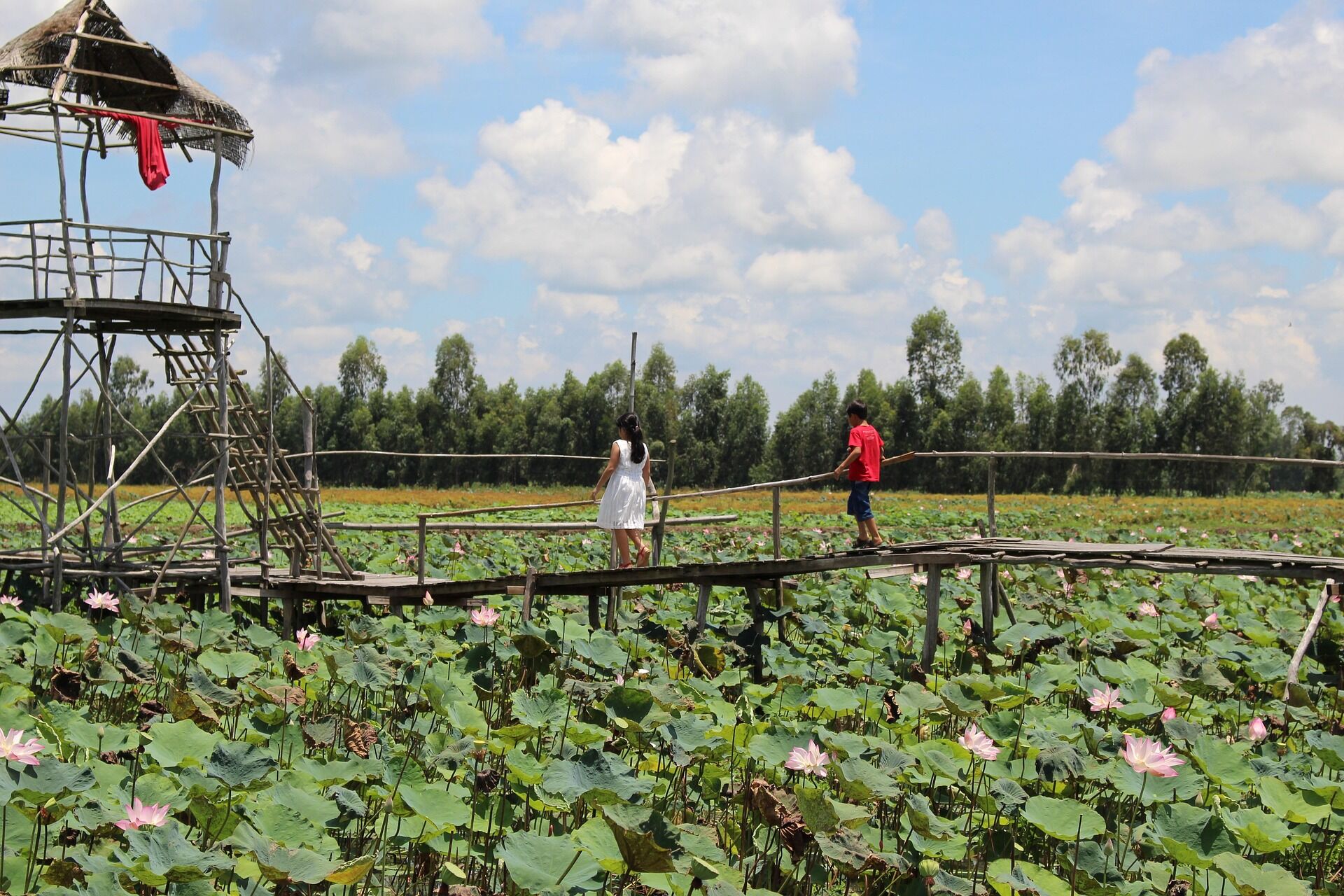 Seize the cultural essence of rural Vietnam
