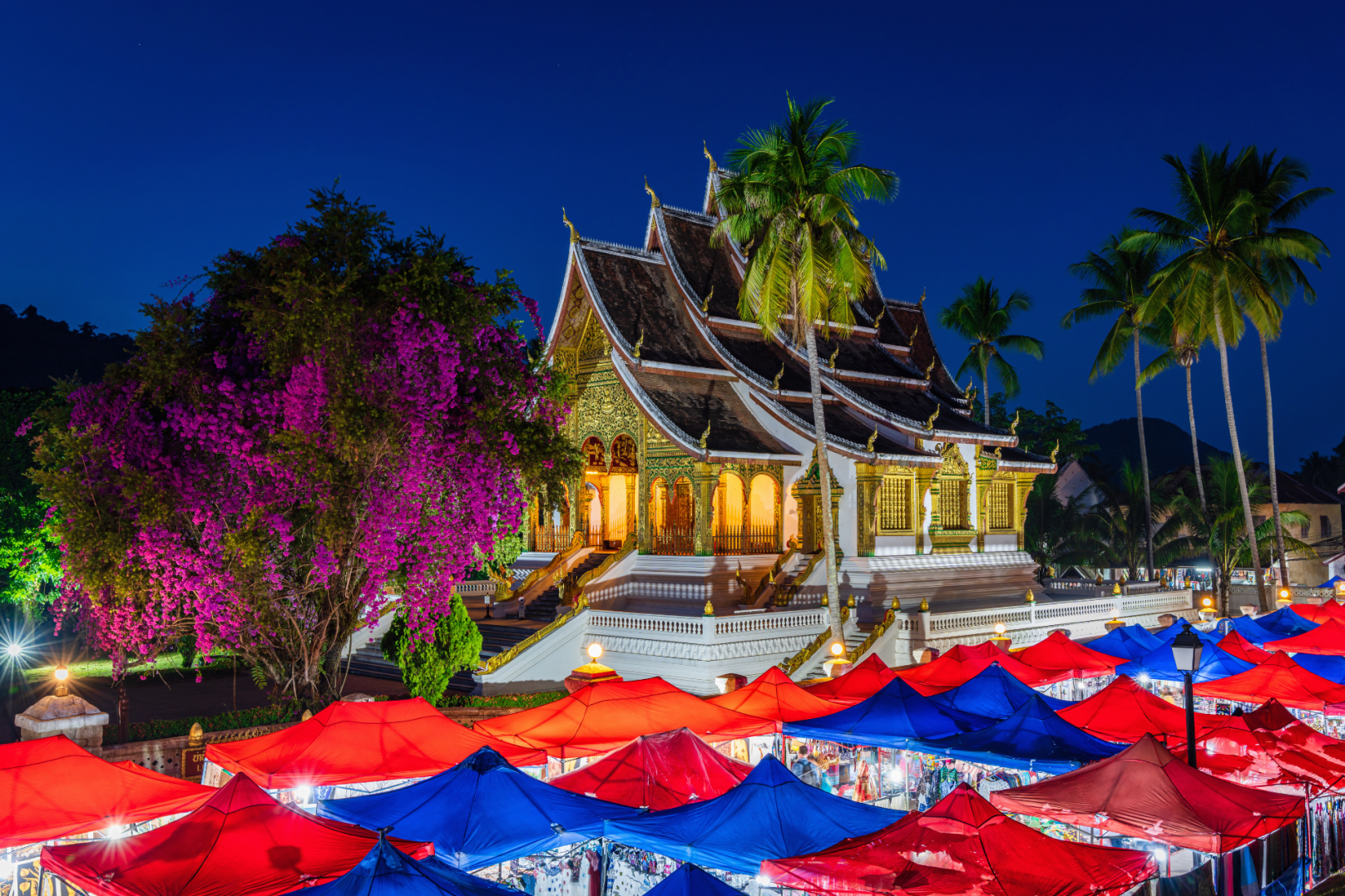 Experience Laos’ heritage with guided tours