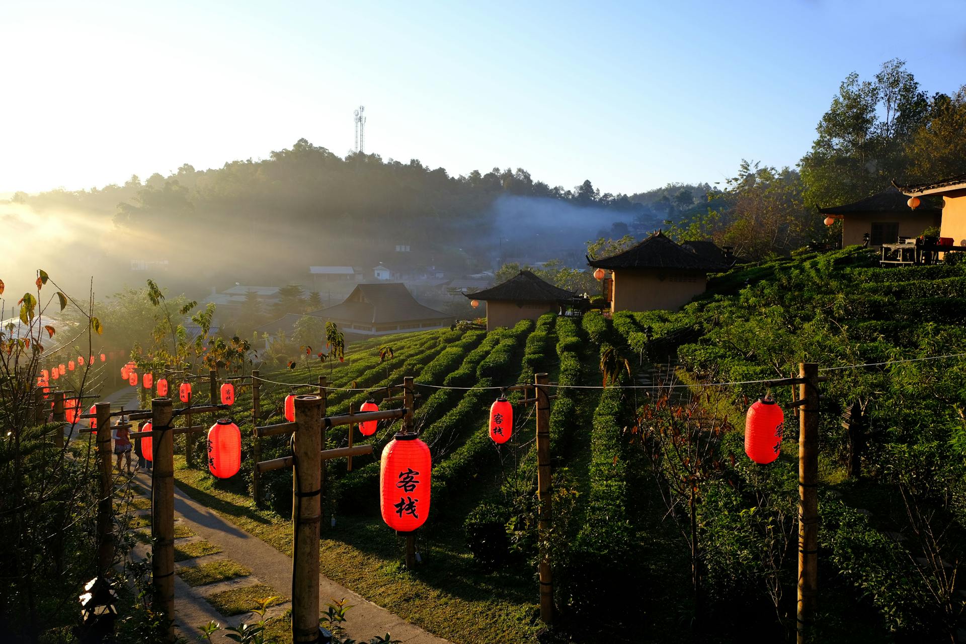 Learn Southeast Asia’s traditions with expert guidance
