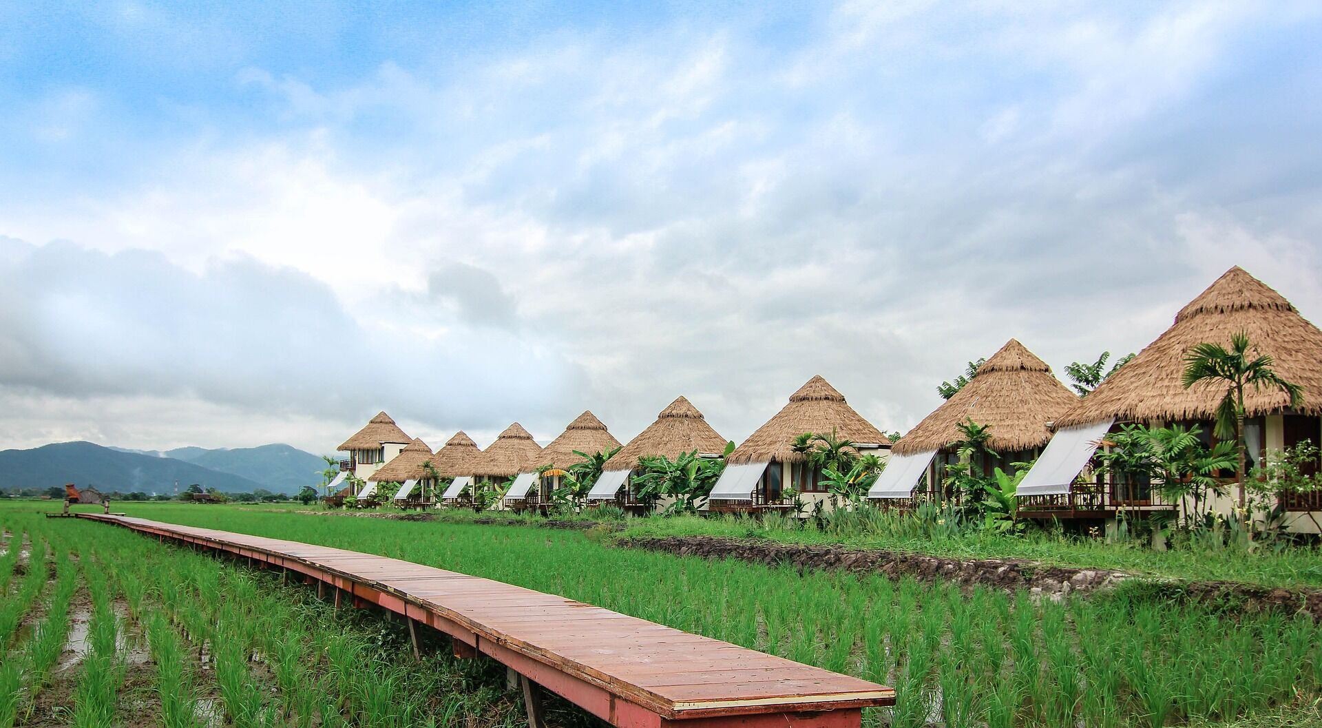 Start your journey with Mae Chaem’s scenic glow