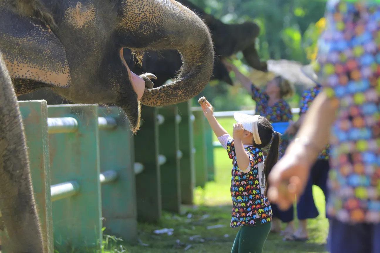 Meet gentle giants in a responsible and compassionate environment”