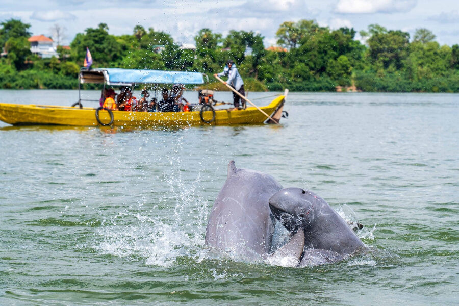 Begin your exploration with Luang Prabang’s tranquil ambiance
