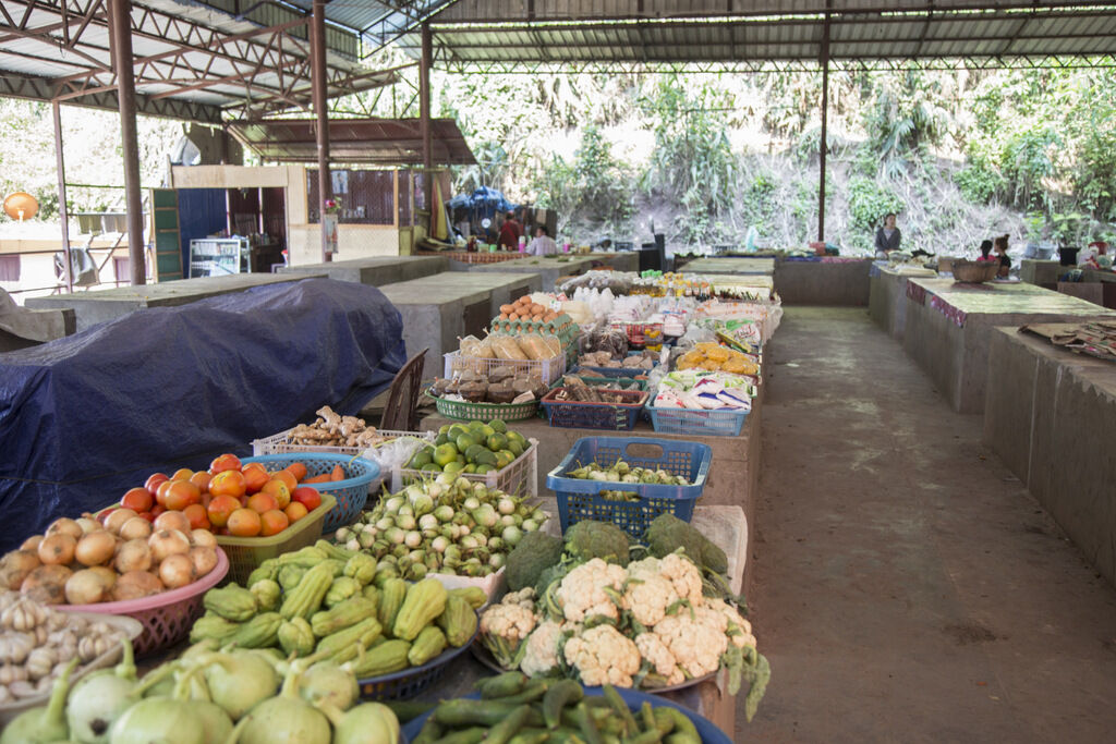 Seize the cultural essence of Laos’ artistry