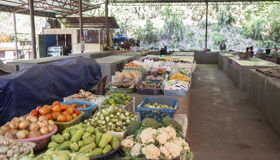 Pak Beng Local Market