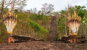 Pakse Snake Heads