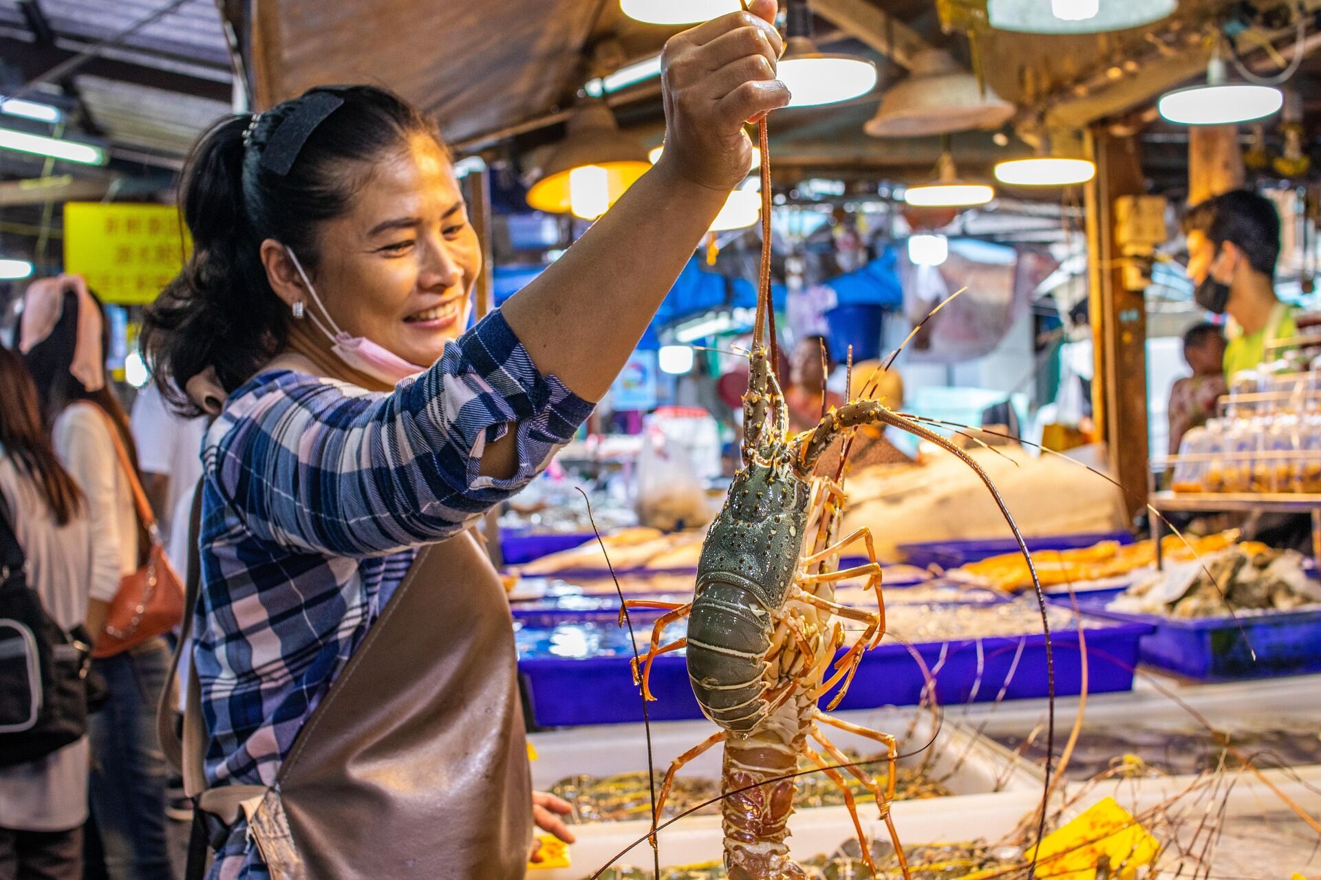 Capture the authentic charm of Thailand’s natural scene