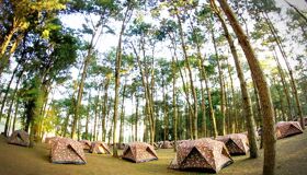 Phitsanulok Camping in the For