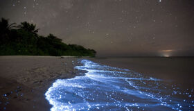 Prankton Koh Rong Beach