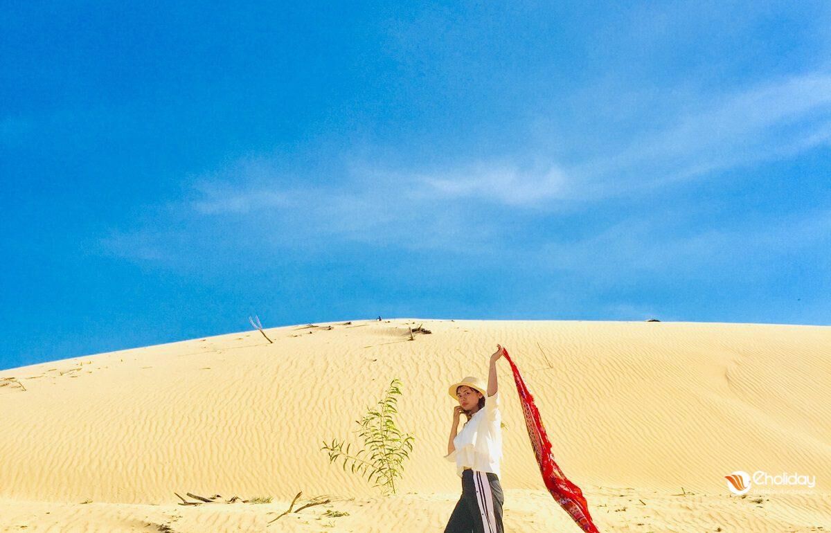 Experience central Vietnam’s coasts with guided tours