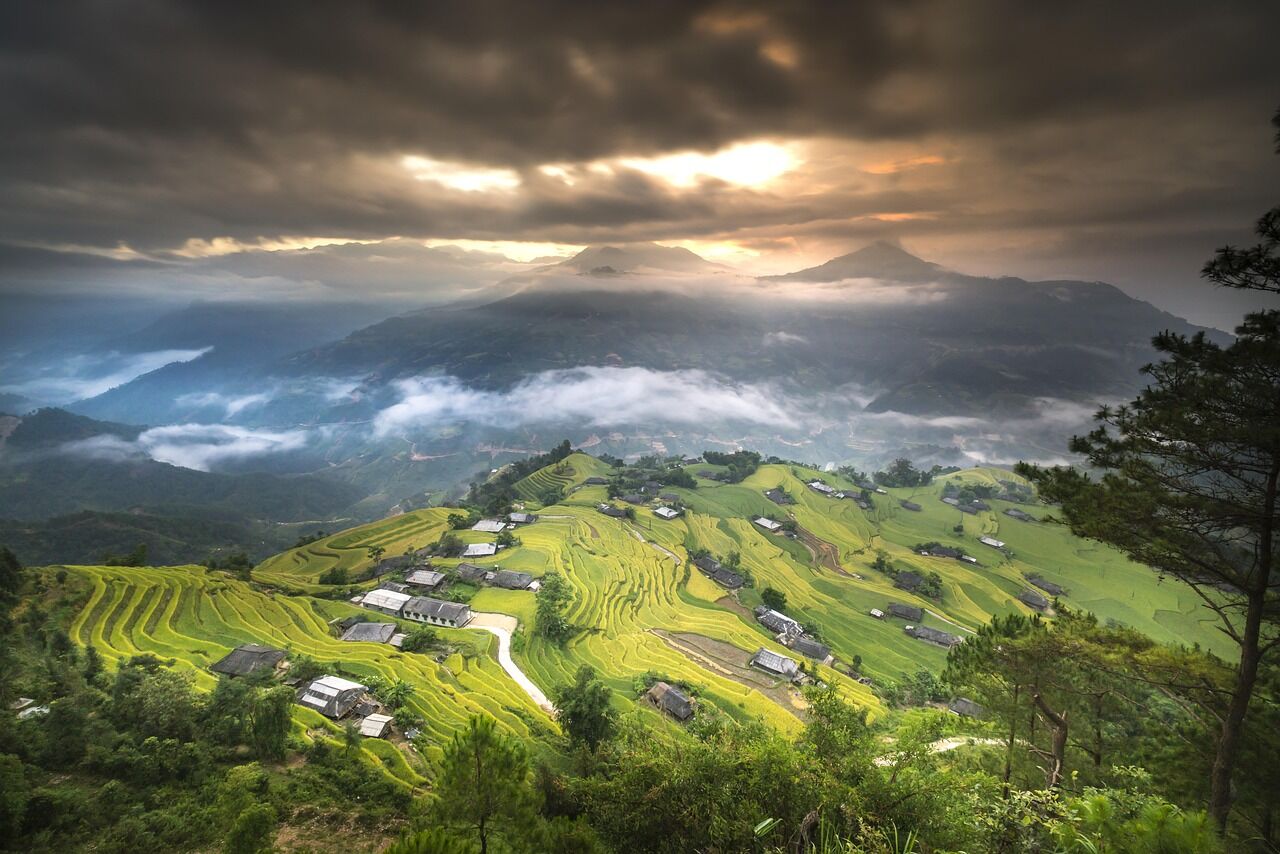 Rice Seasons in Sapa