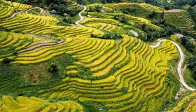 Rice Seasons in Dong Van Ha Giang