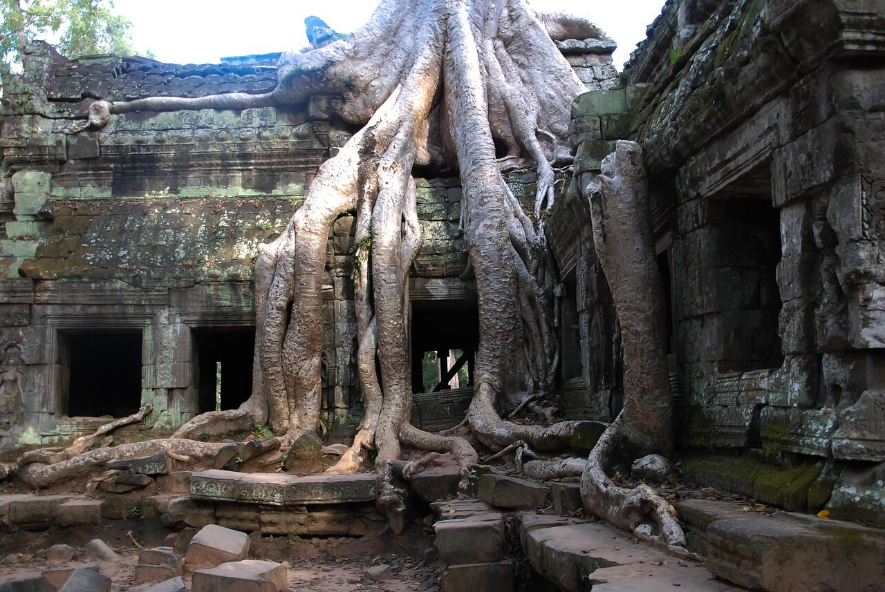 Explore the enchanting jungle-clad ruins of Ta Prohm