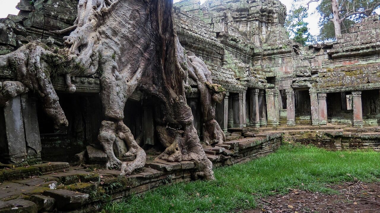 Explore the mystical ruins embraced by ancient tree roots