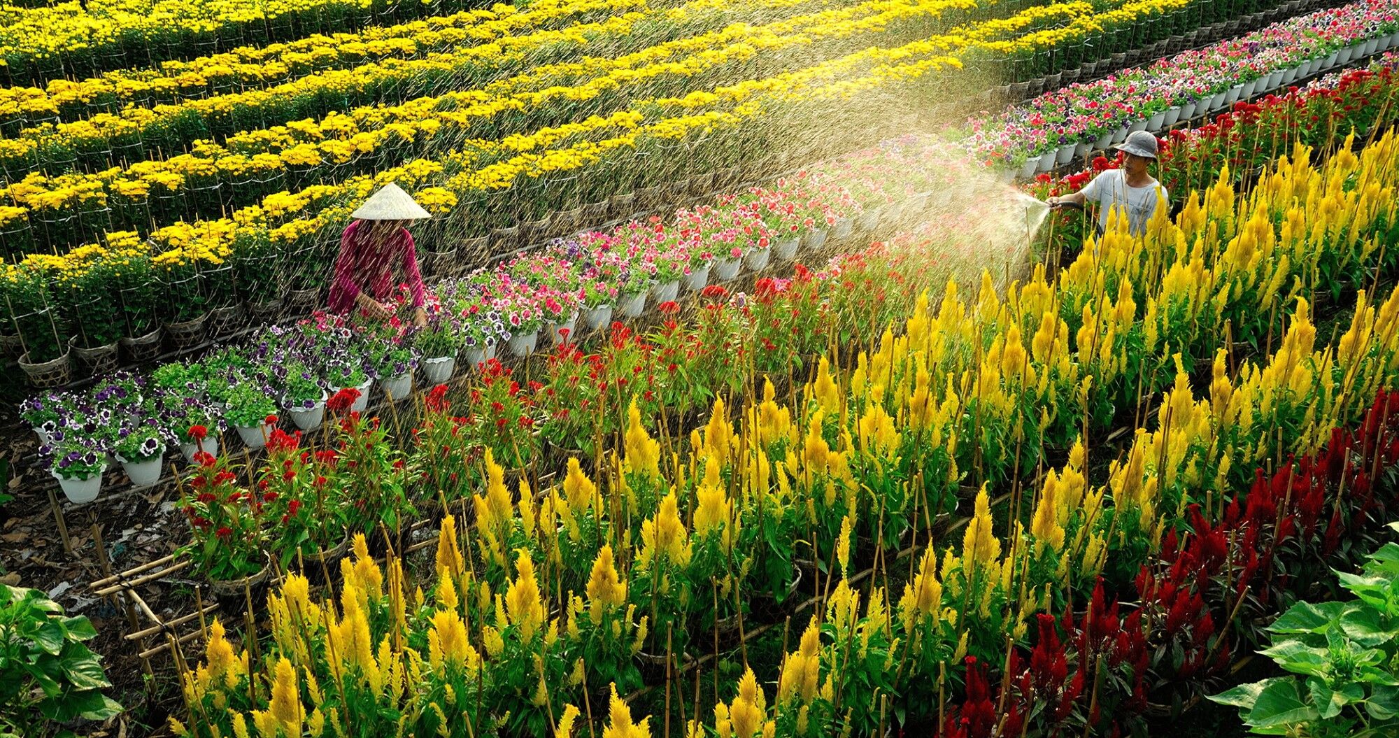 Seize the cultural essence of rural Vietnam
